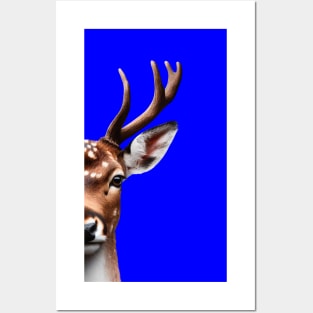 Deer for lovers Posters and Art